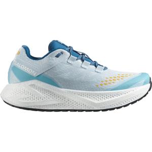 Salomon Heren Aero Glide 3 GRVL Schoenen