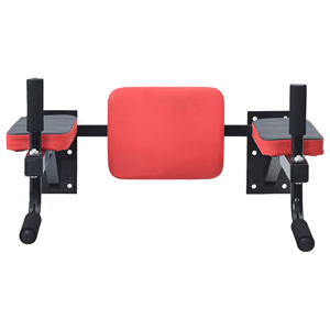 VidaXL Dip Station Wandgemonteerd 100 kg Staal