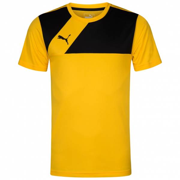 Puma Esquadra Jersey Heren Trainingsshirt 654379-07