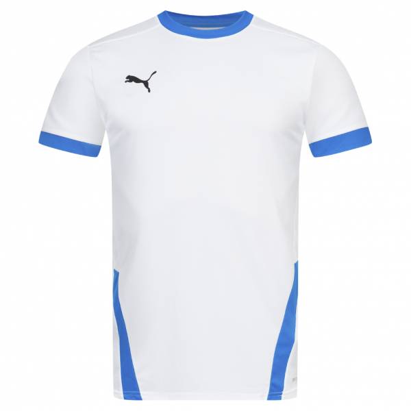 Puma teamGOAL Jersey Heren Shirt 704171-12