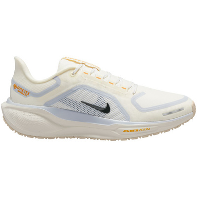 Nike Heren Pegasus 41 GTX Schoenen