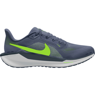 Nike Heren Pegasus 41 Schoenen