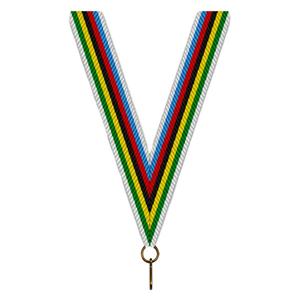 Sportprijzen Leiden Halslint - Regenboog