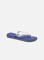 Havaianas Zehentrenner "Brasil Logo" für Damen, royalblau, 41