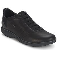 Geox Schnürschuhe, schwarz