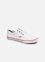 Tommy Hilfiger Schnürschuhe, weiß