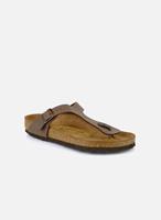 BIRKENSTOCK Zehensteg Gizeh Birko-Flor Nubuck T-Steg-Sandalen mokka 