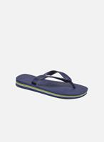 Havaianas Slippers Brasil Logo E by 