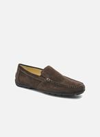 Mocassins U MONET V U1144V by 