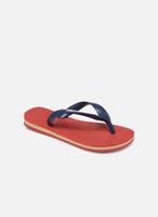 Teenslippers Havaianas BRASIL LOGO