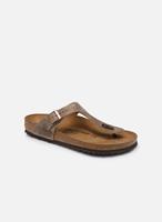 Slippers Birkenstock GIZEH BROWN OILED