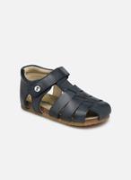 naturino Sandalen Falcotto Bartlett by 