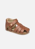 naturino Sandalen Falcotto Bartlett by 