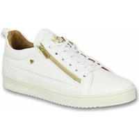 Cash Money Heren Schoenen - Heren Sneaker Bee White Gold - CMS97 - Wit