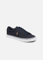 Polo Ralph Lauren Sneaker, Canvas, Logo-Stickerei, für Herren, navy