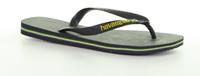 Havaianas Brasil Logo