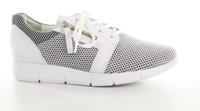 Damen Paul Green Sneaker metallic 4781