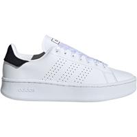 Adidas - Advantage Bold - Platform sneaker