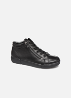 Ara Schnürboots Rom
