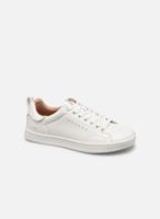 Lage Sneakers Only SHILO PU