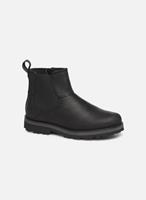 Timberland Courma Kid Chelsea BLACK