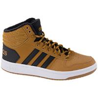 Adidas Hoops Mid 2.0 hoge sneakers bruin