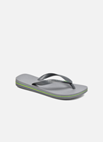 Flip Flops Havaianas Top Dunkelgrau