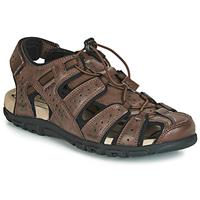 Geox Sandalen, braun