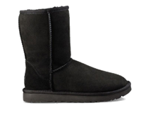 Laarzen UGG -