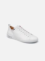 Lage Sneakers Paul Smith MIYATA