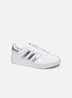Lage Sneakers adidas Team Court W