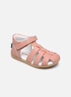 Kickers Baby Sandalen BIGFLO-2  rosa 