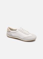 Lage Sneakers Geox D VEGA