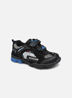 Lico Sneakers Low Chief V Blinky  schwarz 