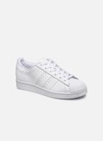 Adidas Sneakers SUPERSTAR J by 