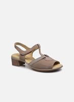 Damen Ara Klassische Sandalen beige