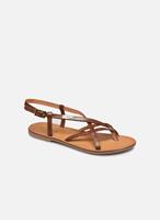 Sandalen CHOU by Les Tropéziennes par M par M par M par M par M par M par M par M par M par M par M par M par M par M par M par M par M par M par M par M par M par M par M par M par M par M par