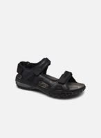Allrounder Outdoor Fitnessschuhe Fitnessschuhe blau Herren 