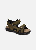 Superfit Sandalen SCORPIUS , WMS-Weite M4 khaki 