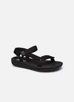 Wandelschoenen Camper -