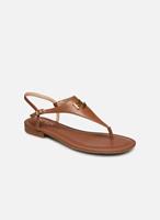 Lauren Ralph Lauren ELLINGTON-SANDAL braun