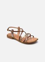 Sandalen HARRY by Les Tropéziennes par M par M par M par M par M par M par M par M par M par M par M par M par M par M par M par M par M par M par M par M par M par M par M par M par M par M pa