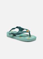 Havaianas Disney König der Löwen Baby Zehentrenner CLASSICS II türkis 