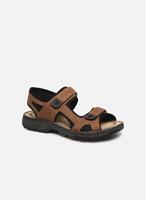 Wandelschoenen Rieker -