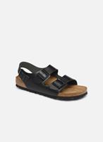 Birkenstock - Milano Black 034193