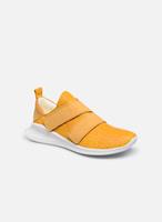 Mocassins Think -