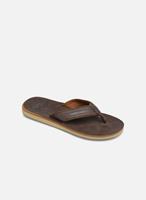 Quiksilver Slippers Carver Nubuck by 