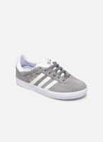 Lage Sneakers adidas FW0714