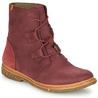 El Naturalista  Damenstiefel ANGKOR