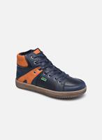 Kickers Sneakers Lowell by 